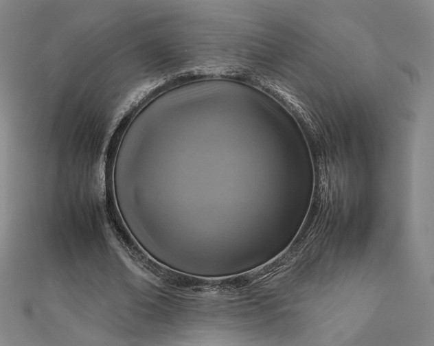 X0000112770678200909031611