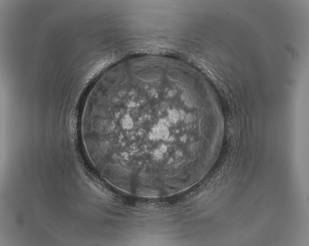 X0000112770679200909031611