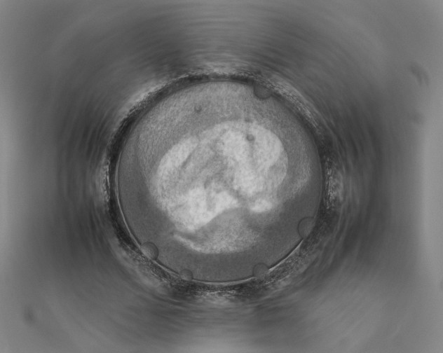 X0000112770680200909031611