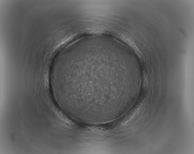 X0000112770681200909031611