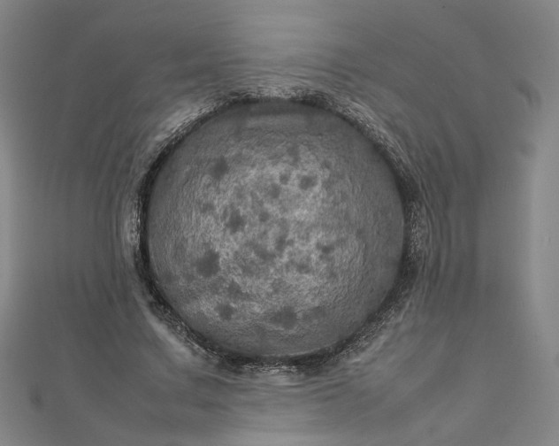 X0000112770683200909031611