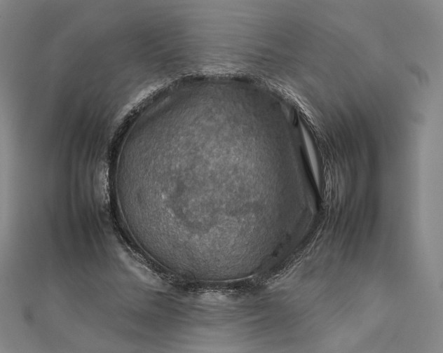 X0000112770684200909031611