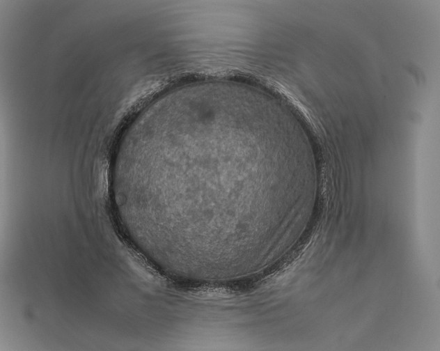 X0000112770685200909031611