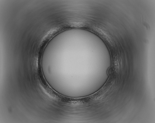 X0000112770686200909031611