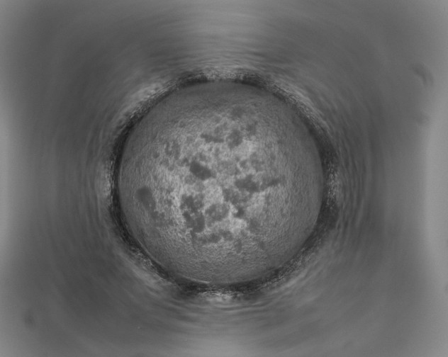 X0000112770687200909031611