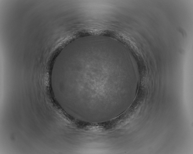 X0000112770689200909031611