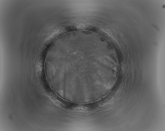 X0000112770691200909031611