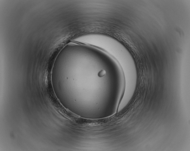 X0000112770692200909031611