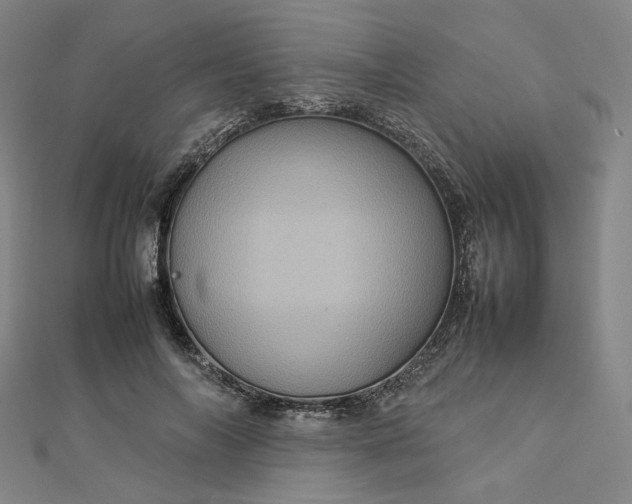 X0000112770694200909031611