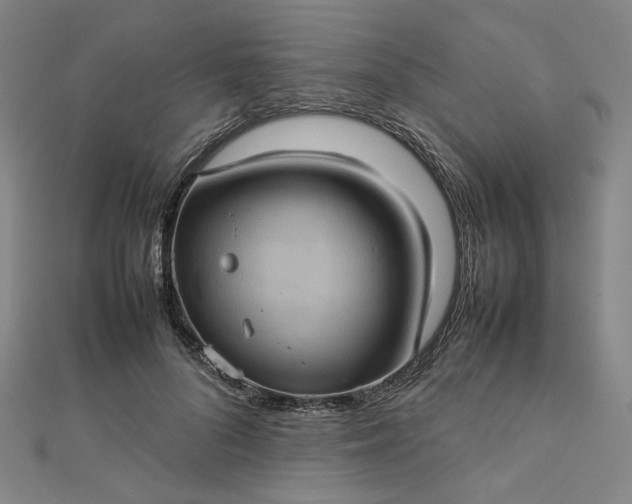 X0000112770696200909031611