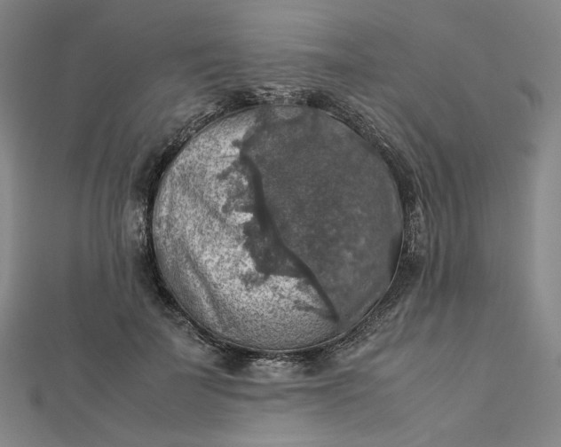 X0000112770699200909031611