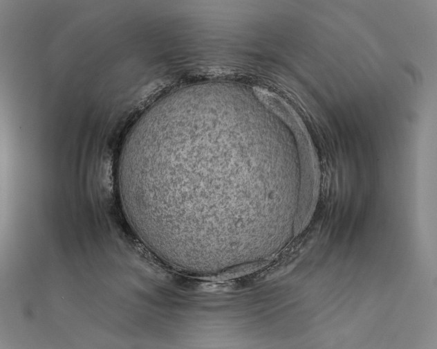 X0000112770700200909031611