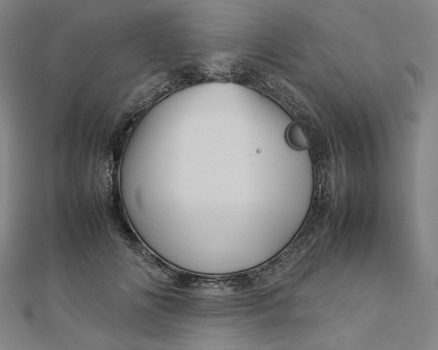 X0000112770702200909031611