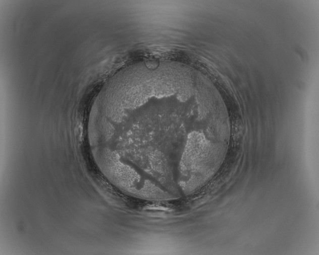 X0000112770703200909031611