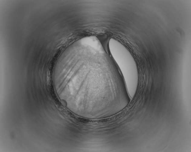 X0000112770704200909031611