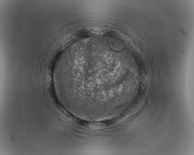 X0000112770707200909031611