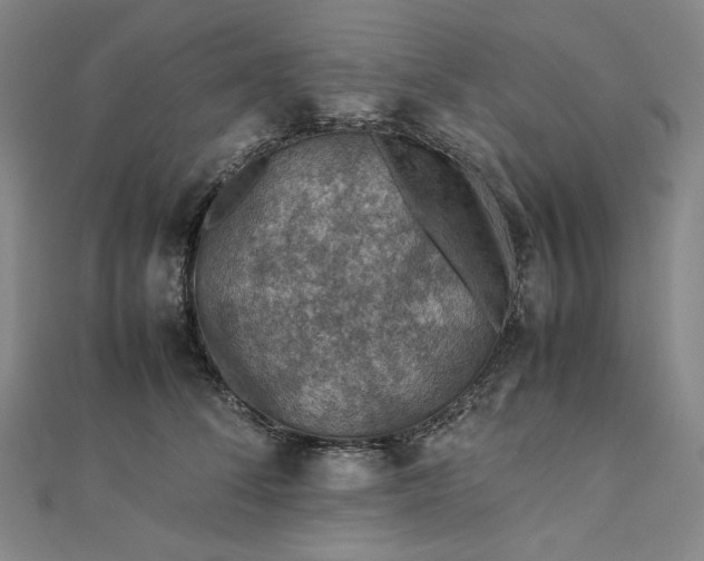 X0000112770708200909031611