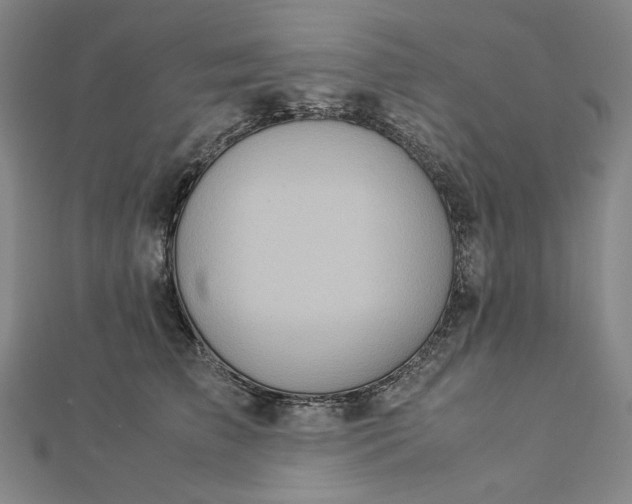 X0000112770709200909031611