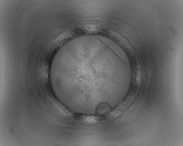 X0000112770710200909031611