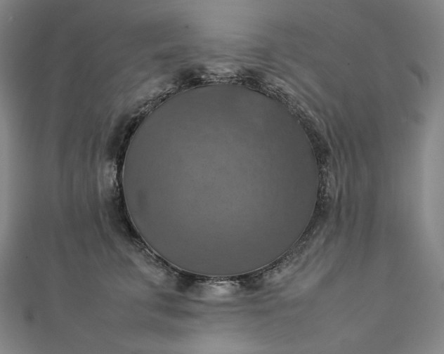 X0000112770711200909031611