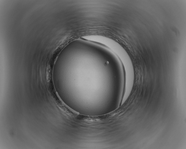 X0000112770712200909031611