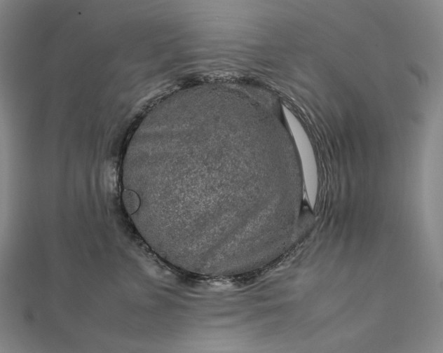 X0000112770715200909031611