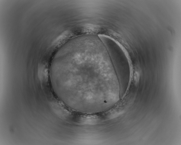 X0000112770716200909031611