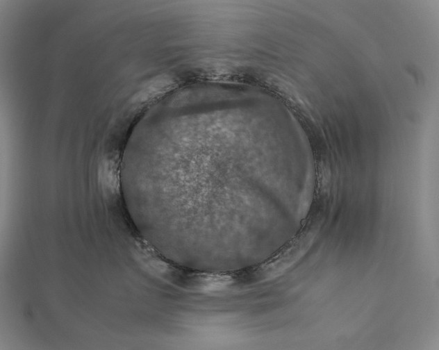 X0000112770719200909031611