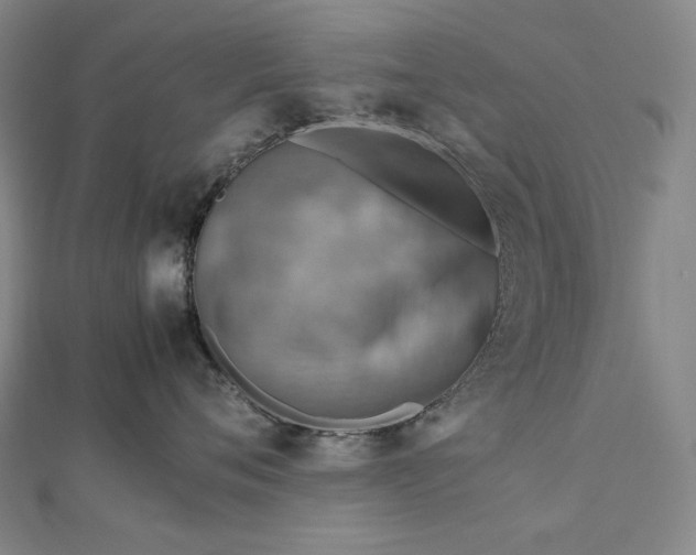 X0000112770720200909031611