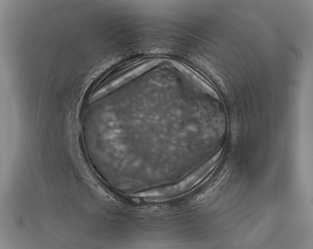 X0000112770721200909031610