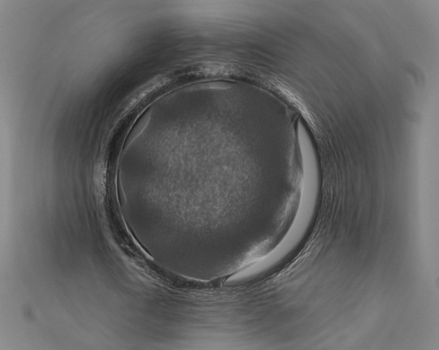 X0000112770722200909031610