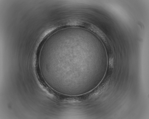 X0000112770724200909031610