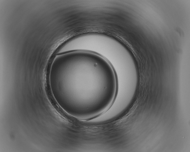 X0000112770725200909031610