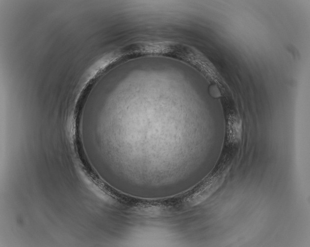 X0000112770726200909031610