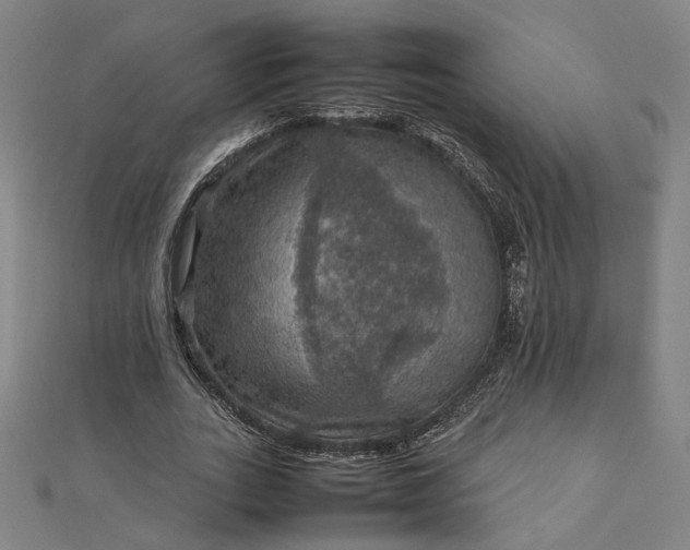 X0000112770727200909031610