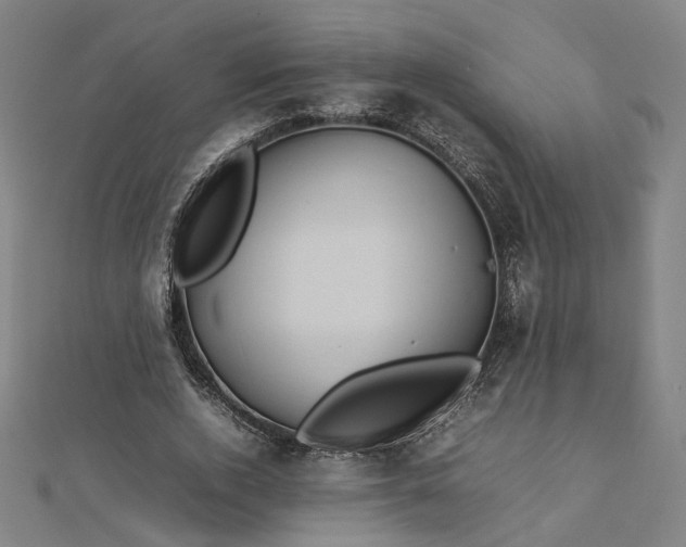 X0000112770728200909031610