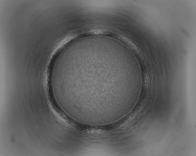 X0000112770730200909031610