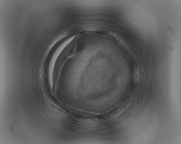 X0000112770731200909031610