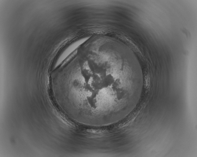 X0000112770733200909031610