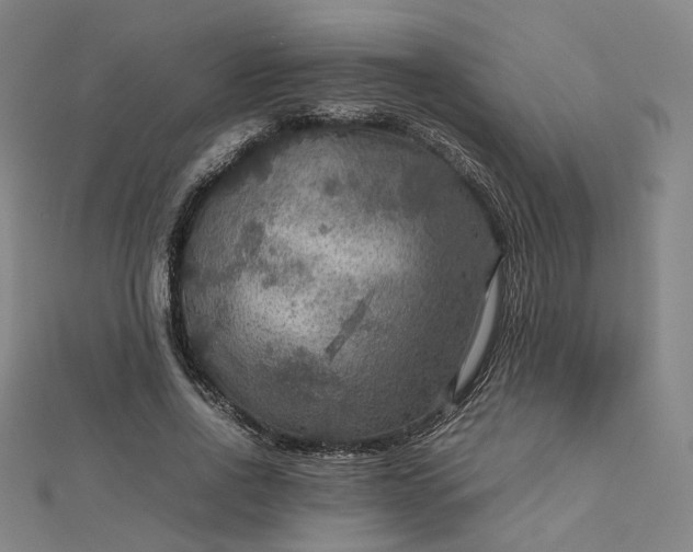 X0000112770734200909031610