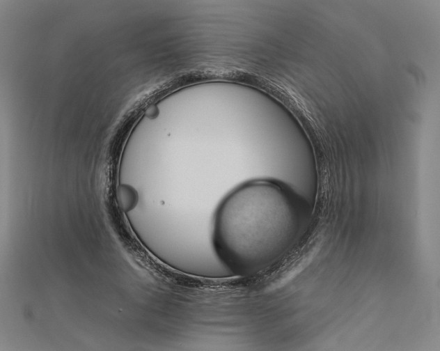 X0000112770736200909031610