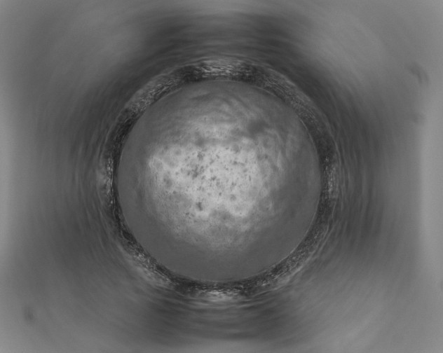 X0000112770737200909031610