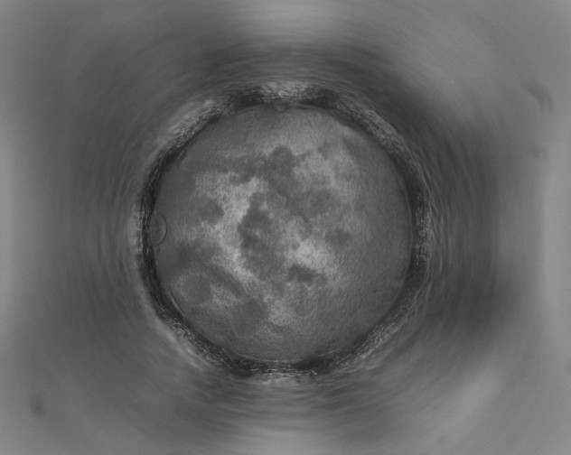 X0000112770738200909031610