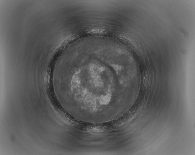 X0000112770739200909031610