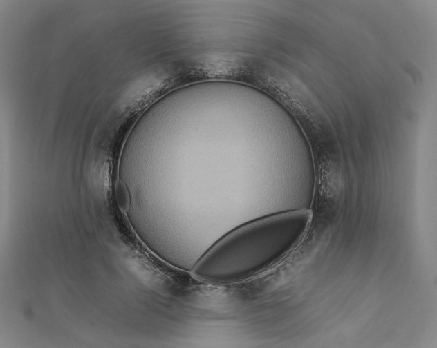 X0000112770740200909031610