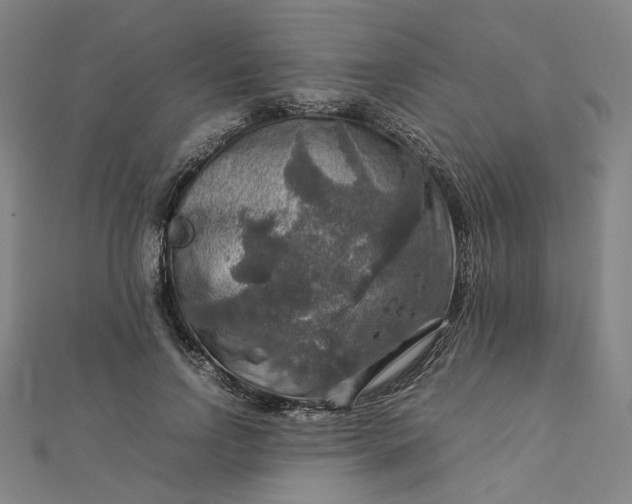 X0000112770742200909031610