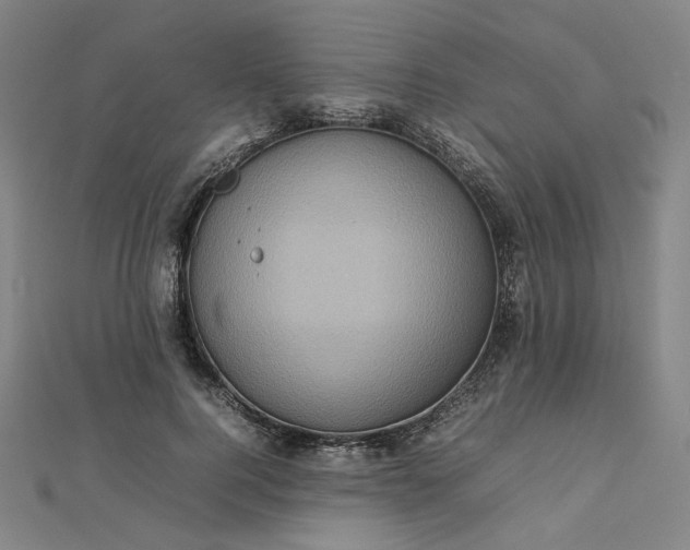 X0000112770744200909031610