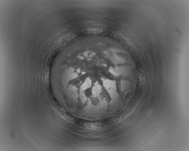 X0000112770745200909031610