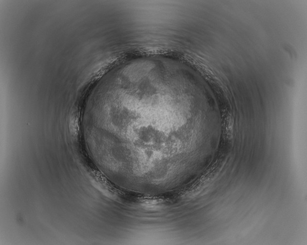 X0000112770746200909031610