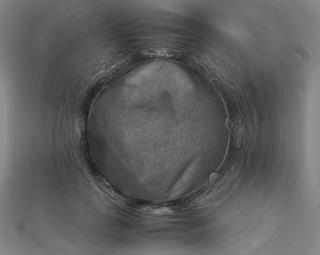 X0000112770747200909031610